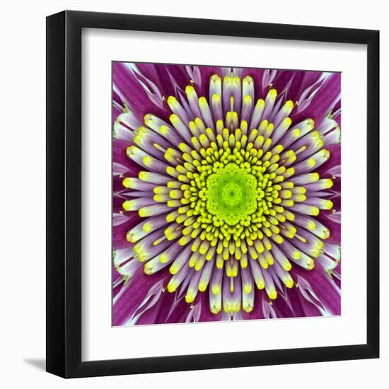 Purple Concentric Flower Center: Mandala Kaleidoscopic-tr3gi-Framed Art Print