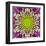 Purple Concentric Flower Center: Mandala Kaleidoscopic-tr3gi-Framed Art Print