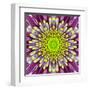 Purple Concentric Flower Center: Mandala Kaleidoscopic-tr3gi-Framed Art Print