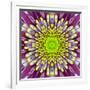 Purple Concentric Flower Center: Mandala Kaleidoscopic-tr3gi-Framed Art Print