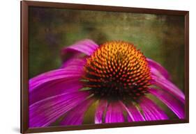 Purple Coneflower on Canvas-George Oze-Framed Photographic Print