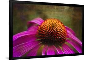 Purple Coneflower on Canvas-George Oze-Framed Photographic Print