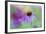 Purple Coneflower-Scott T. Smith-Framed Photographic Print