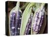 Purple Corn Displayed in Market, Cuzco, Peru-Merrill Images-Stretched Canvas