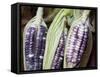 Purple Corn Displayed in Market, Cuzco, Peru-Merrill Images-Framed Stretched Canvas