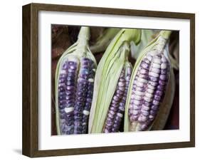 Purple Corn Displayed in Market, Cuzco, Peru-Merrill Images-Framed Photographic Print