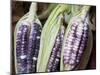 Purple Corn Displayed in Market, Cuzco, Peru-Merrill Images-Mounted Photographic Print