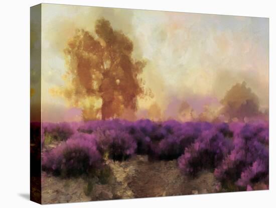 Purple Countryside II-Alonzo Saunders-Stretched Canvas