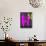 Purple Couple-Felix Podgurski-Art Print displayed on a wall