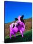 Purple Cow in a Field-Lynn M^ Stone-Stretched Canvas