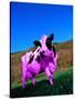 Purple Cow in a Field-Lynn M^ Stone-Stretched Canvas