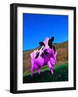 Purple Cow in a Field-Lynn M^ Stone-Framed Photographic Print