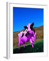 Purple Cow in a Field-Lynn M^ Stone-Framed Photographic Print