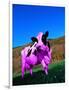 Purple Cow in a Field-Lynn M^ Stone-Framed Photographic Print