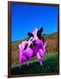 Purple Cow in a Field-Lynn M^ Stone-Framed Photographic Print