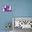 Purple Crocus, Picture Frame, Macro-Niki Haselwanter-Stretched Canvas displayed on a wall