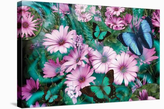 Purple Daisies-Alixandra Mullins-Stretched Canvas