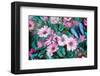 Purple Daisies-Alixandra Mullins-Framed Art Print