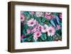 Purple Daisies-Alixandra Mullins-Framed Art Print