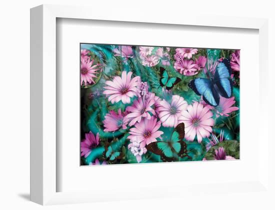 Purple Daisies-Alixandra Mullins-Framed Art Print