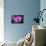 Purple Daisy-Ursula Abresch-Mounted Photographic Print displayed on a wall