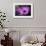 Purple Daisy-Ursula Abresch-Framed Photographic Print displayed on a wall