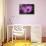 Purple Daisy-Ursula Abresch-Mounted Photographic Print displayed on a wall