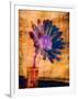 Purple Daisy-Robert Cattan-Framed Photographic Print