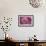 Purple Dalhia I-Maureen Love-Framed Photographic Print displayed on a wall