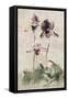 Purple Dancing Orchid Panel I-Cheri Blum-Framed Stretched Canvas