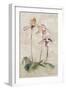 Purple Dancing Orchid Panel II-Cheri Blum-Framed Art Print