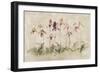 Purple Dancing Orchids-Cheri Blum-Framed Art Print