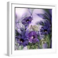 Purple Dream I-Mindy Sommers-Framed Giclee Print