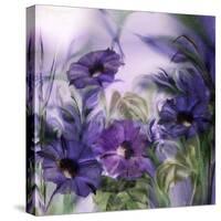 Purple Dream I-Mindy Sommers-Stretched Canvas