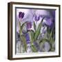 Purple Dream II-Mindy Sommers-Framed Giclee Print