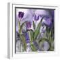 Purple Dream II-Mindy Sommers-Framed Giclee Print