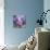 Purple Dream III-Mindy Sommers-Mounted Giclee Print displayed on a wall