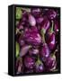 Purple eggplant, Seafront Market, St-Paul, Reunion Island, France-Walter Bibikow-Framed Stretched Canvas