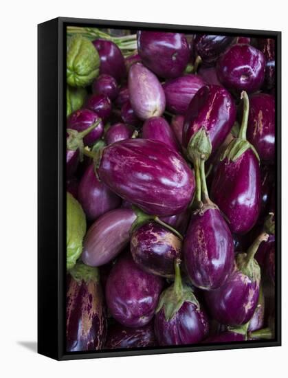 Purple eggplant, Seafront Market, St-Paul, Reunion Island, France-Walter Bibikow-Framed Stretched Canvas