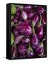 Purple eggplant, Seafront Market, St-Paul, Reunion Island, France-Walter Bibikow-Framed Stretched Canvas