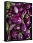 Purple eggplant, Seafront Market, St-Paul, Reunion Island, France-Walter Bibikow-Framed Stretched Canvas