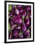 Purple eggplant, Seafront Market, St-Paul, Reunion Island, France-Walter Bibikow-Framed Premium Photographic Print