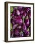 Purple eggplant, Seafront Market, St-Paul, Reunion Island, France-Walter Bibikow-Framed Photographic Print