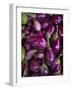 Purple eggplant, Seafront Market, St-Paul, Reunion Island, France-Walter Bibikow-Framed Photographic Print