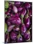 Purple eggplant, Seafront Market, St-Paul, Reunion Island, France-Walter Bibikow-Mounted Photographic Print