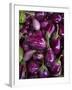 Purple eggplant, Seafront Market, St-Paul, Reunion Island, France-Walter Bibikow-Framed Photographic Print