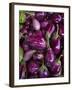 Purple eggplant, Seafront Market, St-Paul, Reunion Island, France-Walter Bibikow-Framed Photographic Print