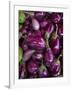 Purple eggplant, Seafront Market, St-Paul, Reunion Island, France-Walter Bibikow-Framed Photographic Print