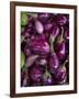 Purple eggplant, Seafront Market, St-Paul, Reunion Island, France-Walter Bibikow-Framed Photographic Print