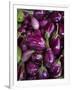 Purple eggplant, Seafront Market, St-Paul, Reunion Island, France-Walter Bibikow-Framed Photographic Print